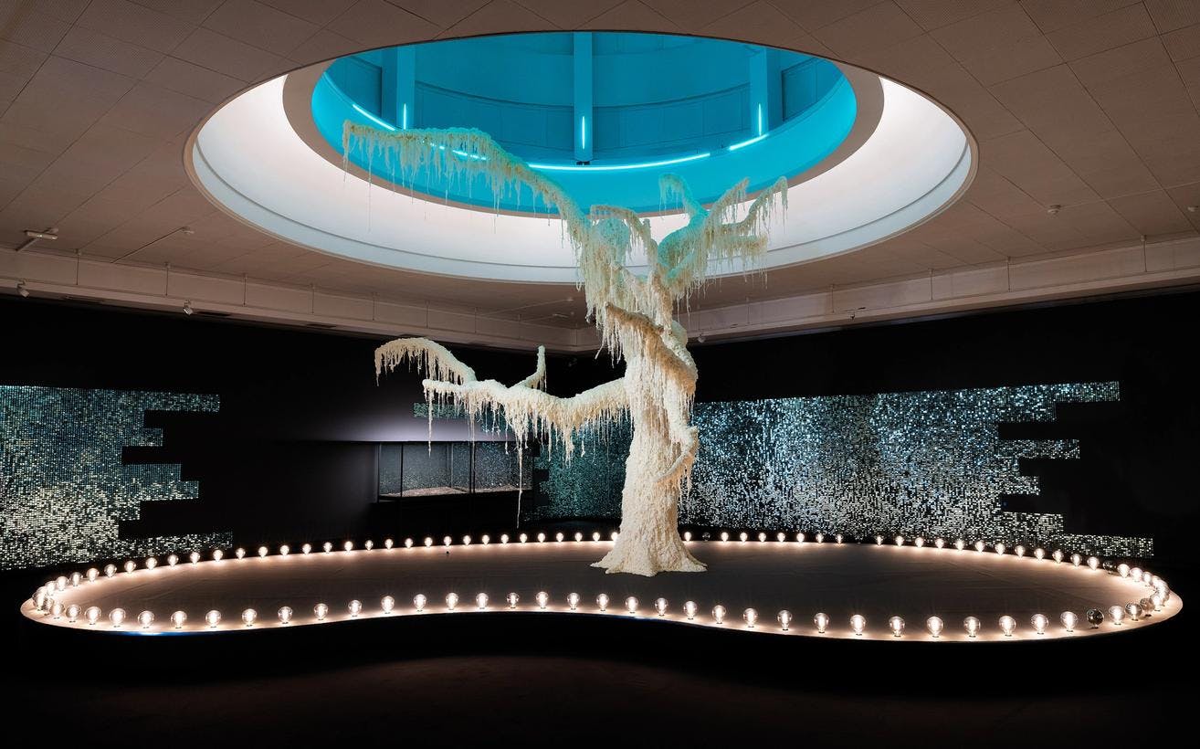 An installation featuring a large tree covered in wax, presented on a platform with glowing lightbulbs
